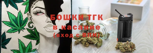 mdpv Богородицк