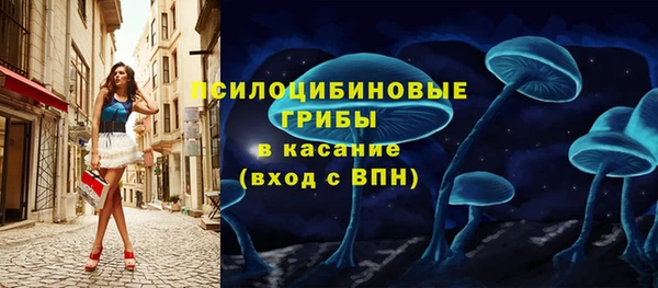 прущая мука Богородск