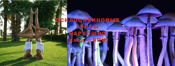 mdpv Богородицк