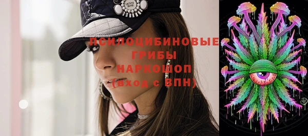 прущая мука Богородск