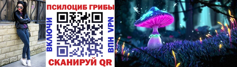 omg ссылки Видное Галлюциногенные грибы Magic Shrooms