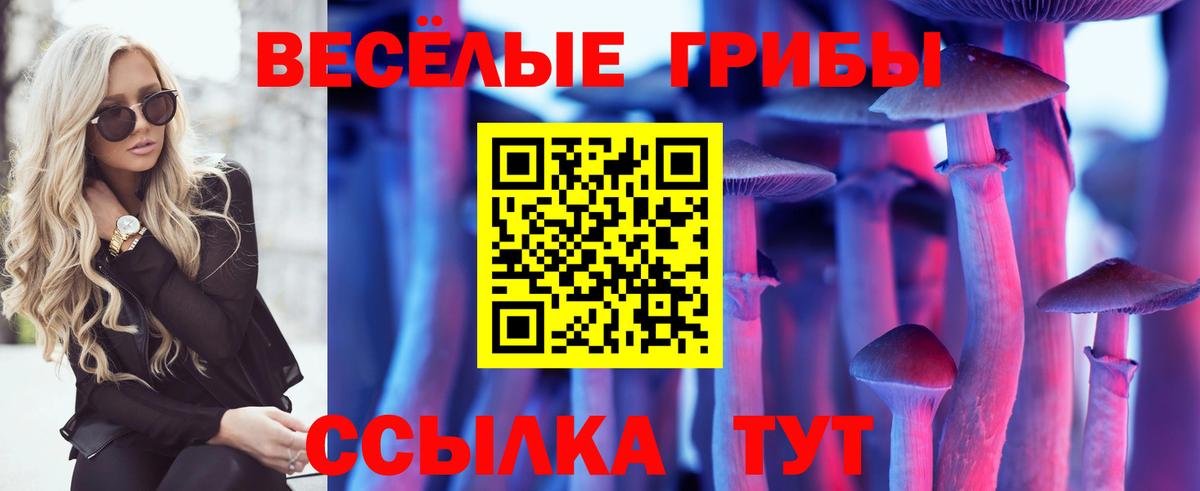 Видное  Галлюциногенные грибы Psilocybine cubensis  Вход с VPN  Псилоцибиновые грибы GOLDEN TEACHER 